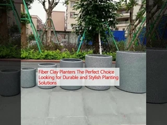 Sabit ve Şık Ekim Çözümleri Arayanlar İçin Mükemmel Seçim