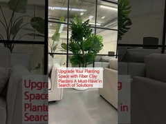 Fiber Çamurlu Ekim Masasıyla Ekim Alanınızı Geliştirin Çözüm Arayışında Gereksiz