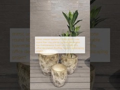 Dönümlü elyaf kil bitkisinin düzensiz dokularını taklit edin çiçek küpü tatil villa ofis dekorasyonu çatı bahçeleri peyzaj projesi