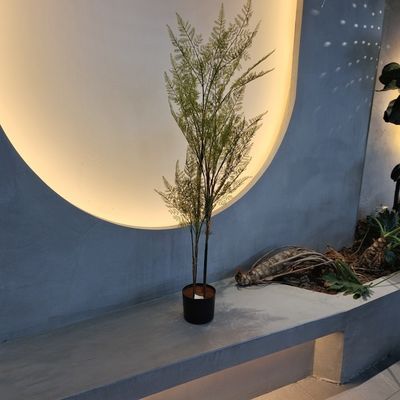 satın al Ultra Gerçekçi Yapay Fern Ağacı - Yeşil Yeşil UV Direnci Düşük Bakım online manufacture