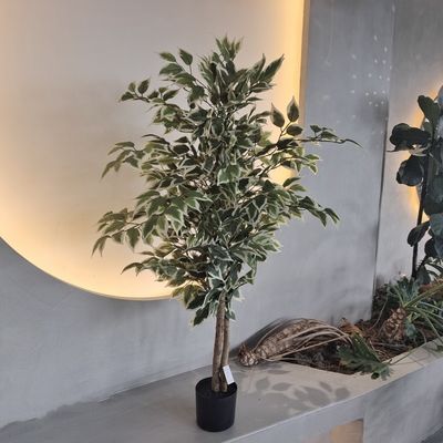 satın al Hipoalerjenik Plastik Sahte Bitkiler Böcek Direncili 120cm online manufacture
