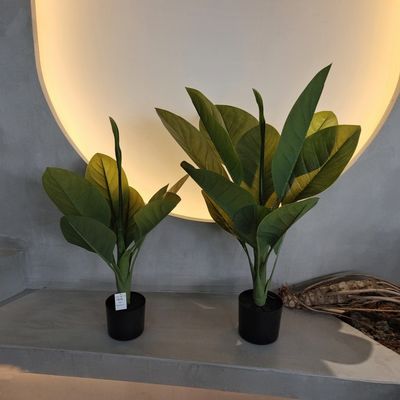 Uzun süreli plastik malzeme yapay bitkiler 70cm yapay Dieffenbachia ağacı