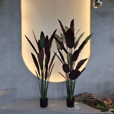 Yapay Dieffenbachia Ağacı İçeride Dışarıda Dekorasyon için