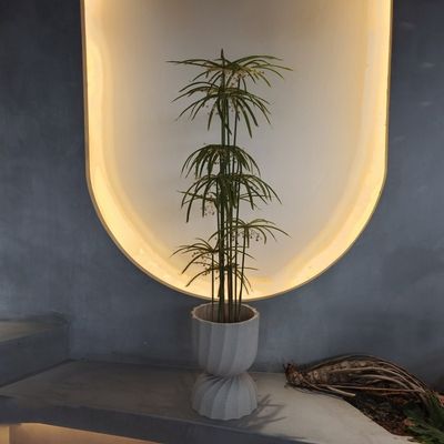 UV Dirençli Plastik Sahte Bitkiler Yapay Graptopetalum Ağacı