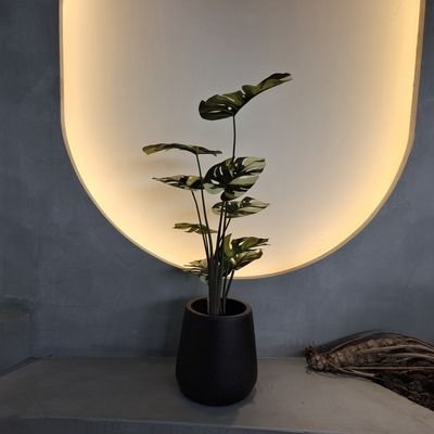 Böcek Dirençli Sahte Monstera Ağacı