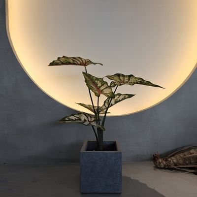 Gerçekçi yeşil plastik yapay bitkiler 70-120cm İç / Dış Dekorasyon için