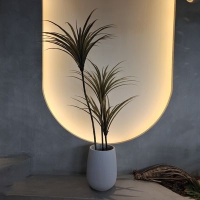 Yapay Yucca Ağacı Sahte Bitki Böcek Direnci Su geçirmez 160cm