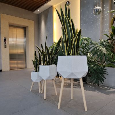Kolay Temizlenen İçeride ve Dışarıda Bireysellik İçin Fiber Clay Planter