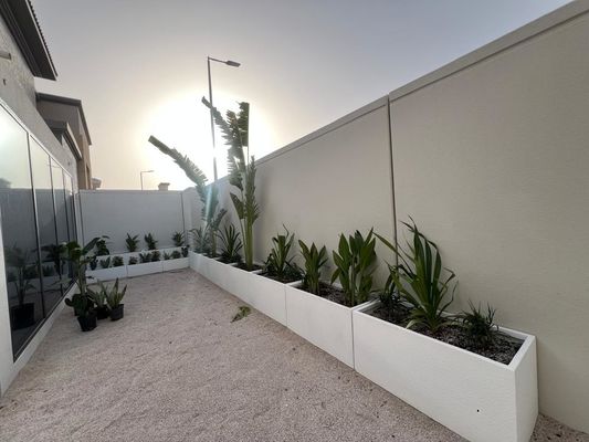 Tozla kaplı bitki yapımı kil lif ekicileri kil lif çiçek kapları
