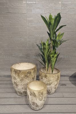 Uzun Boylu Topraksı Ton Yuvarlak Fiber Kil Hafif Dayanıklı Çatı Bahçesi Saksısı