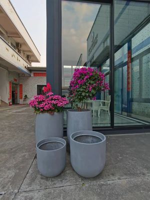 Adı